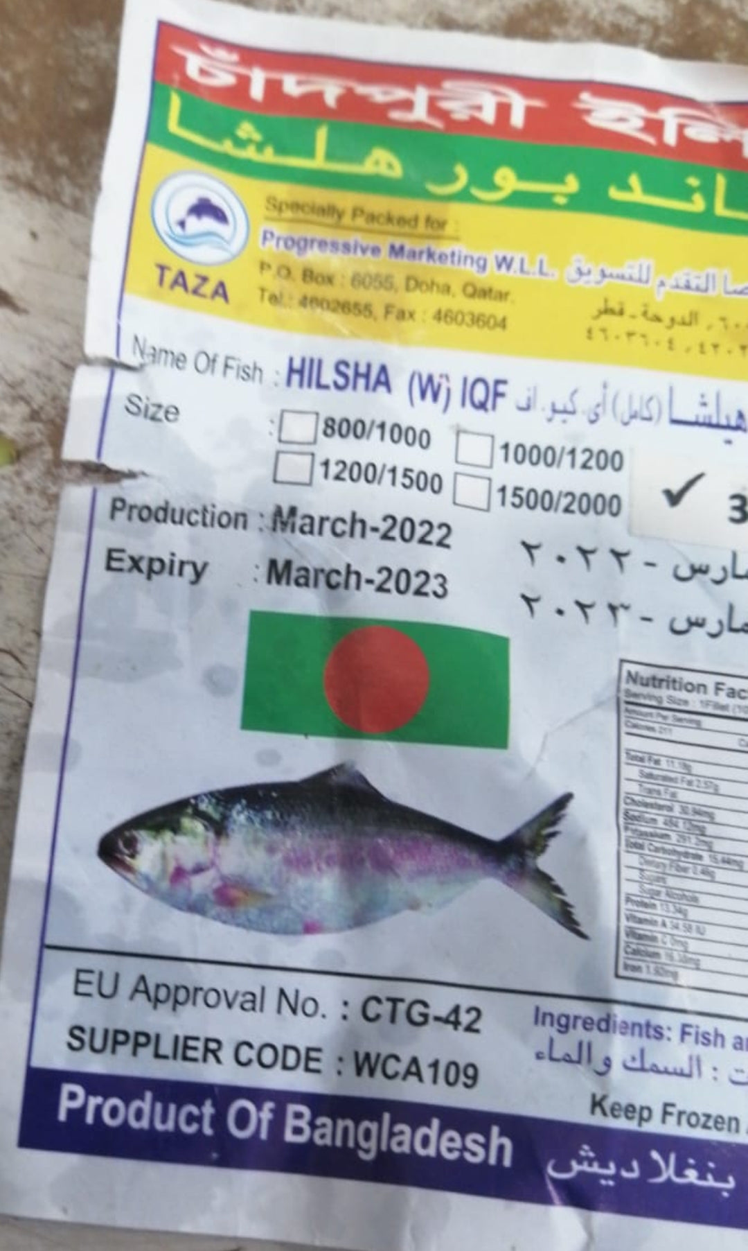Big Hilsha Fish - 2kg size