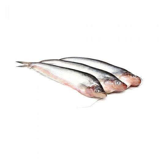 Frozen Pabda Fish - 1 Tray