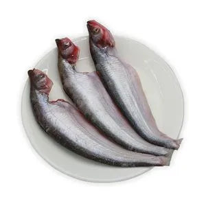 Frozen Pabda Fish - 1 Tray