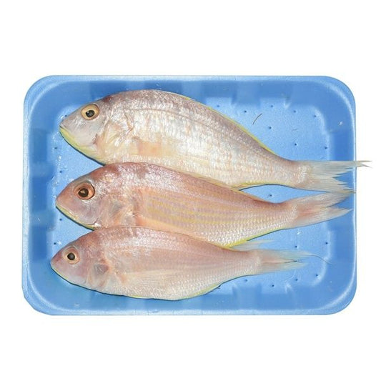 Sultan Basi Fish - 1kg