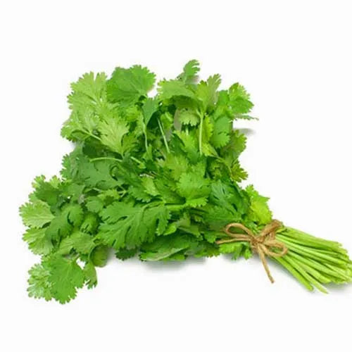 Coriander Leaves - 1 Bundle