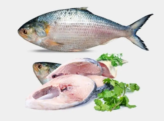 Bangladeshi Hilsha Fish