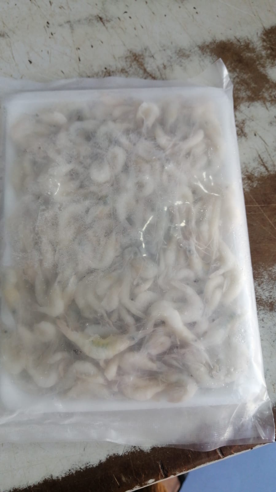 Frozen small Shrimps/Gura Chingri