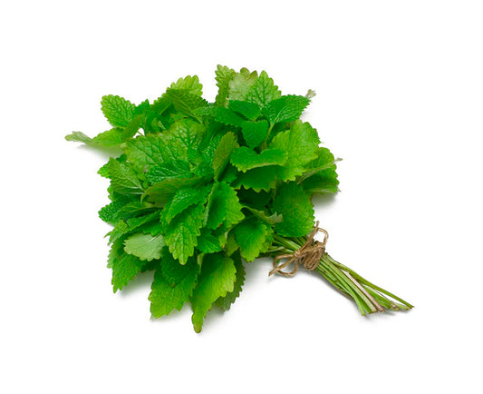 Mint - 1 Bundle
