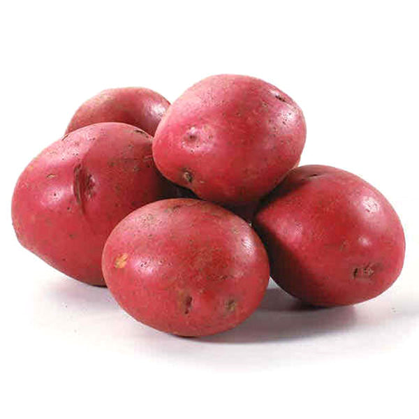 Red Potato 1 KG