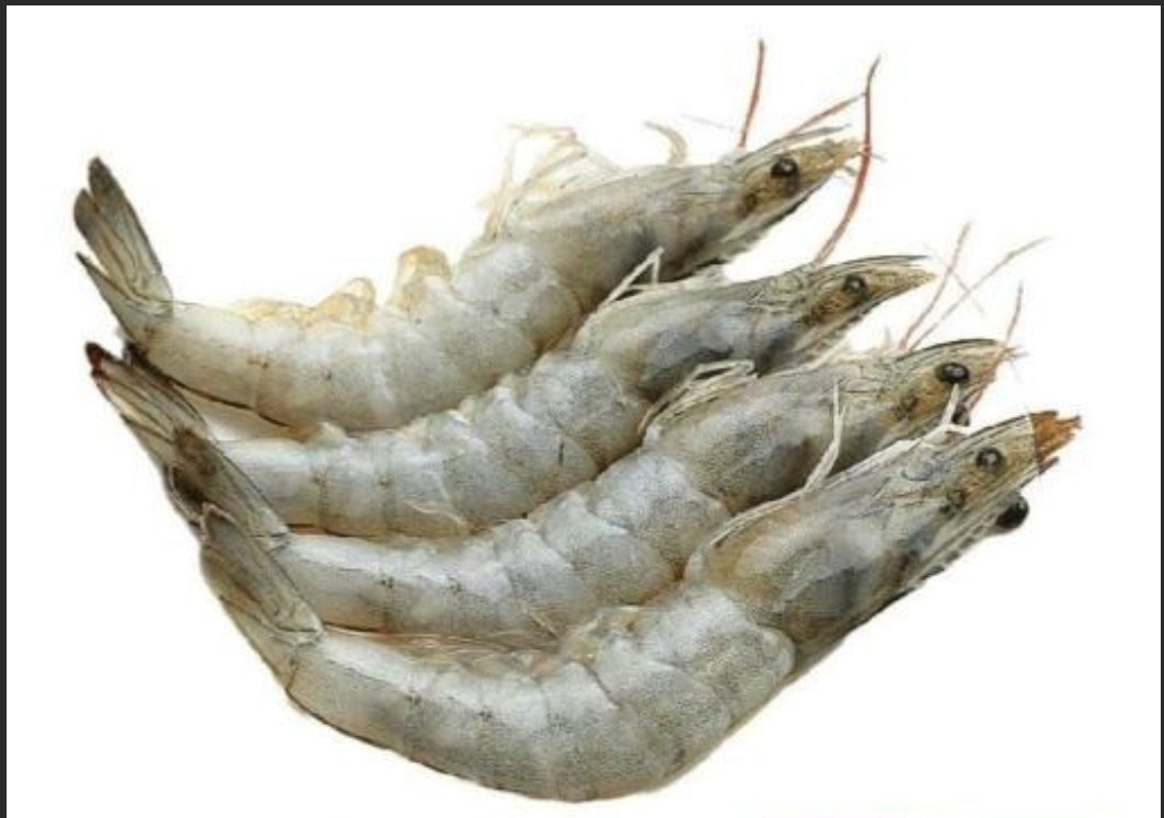 Medium Shrimps Iran (1kg = 40/50pc)