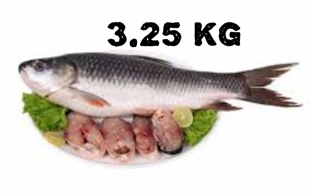 Burma Frozen Rohu Fish