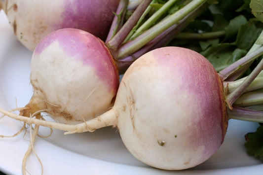 Turnip - 1/2 kg