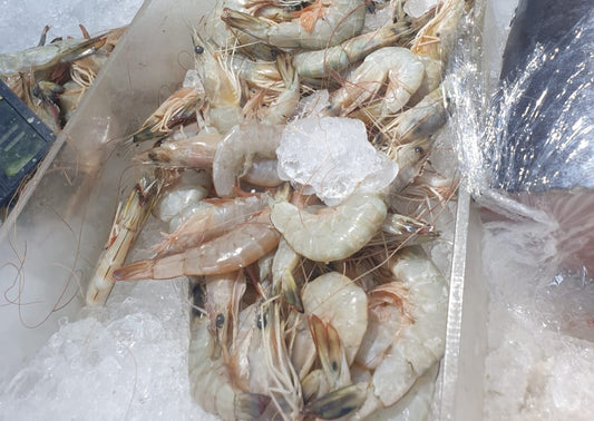 Jumbo Shrimps (1kg = 20/30pc)