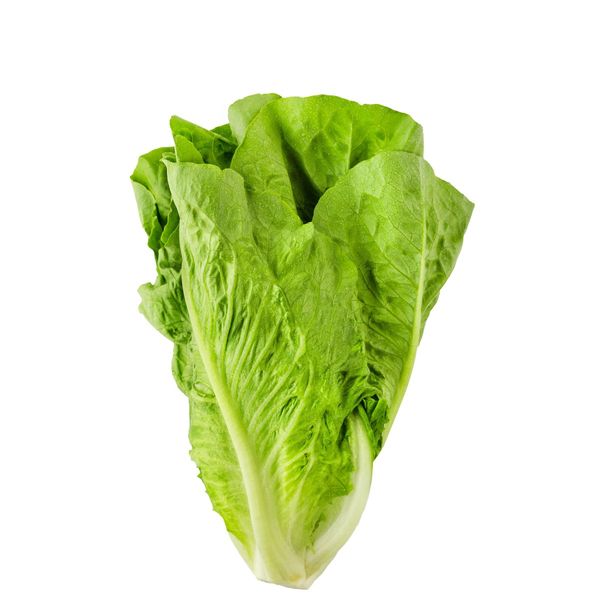 Lettuce - 250 gm